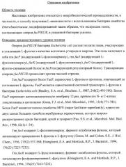 Способ получения l-треонина с использованием бактерии, принадлежащей к роду escherichia, обладающей усиленной экспрессией оперона fucpikur (патент 2318870)