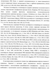 Нуклеозидфосфорамидаты в качестве противовирусных агентов (патент 2478104)