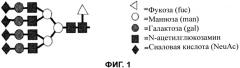 Способы, относящиеся к модифицированным гликанам (патент 2526250)