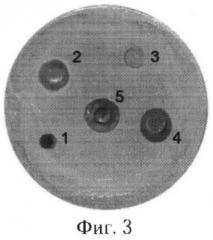 Биоактивное гидрогелевое раневое покрытие (патент 2545735)