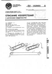 Устройство для очистки семян зерновых культур (патент 1029891)