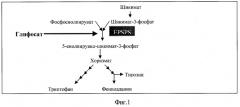 Рекомбинантная плазмидная днк pbinplus-ars-epsps, обеспечивающая экспрессию гена агробактериальной 5-енолпирувил-шикимат-3-фосфат-синтетазы в трансгенных микроводорослях рода хлорелла (патент 2407794)