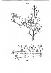 Устройство для обрезки деревьев (патент 969202)