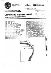 Пневматическая шина (патент 1131681)