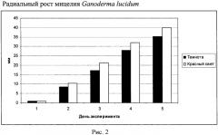 Способ выращивания мицелия ganoderma lucidum (патент 2446206)