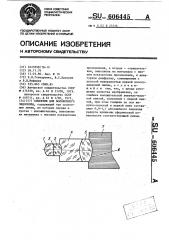 Объектив для волоконного эндоскопа (патент 606445)