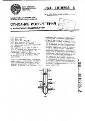 Винтовая свая (патент 1010203)