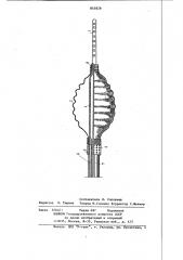 Зонд (патент 845828)