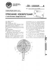 Модель капусты (патент 1222224)
