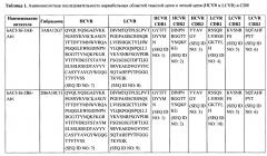 Гуманизированное тау-антитело (патент 2644242)