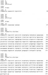 Аспарагиназа, полученная из базидомицетов (патент 2560597)