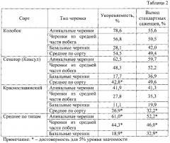 Способ размножения крыжовника зелеными черенками в условиях севера (патент 2634968)