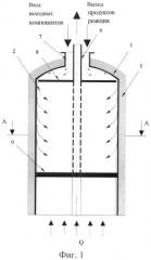 Реактор для осуществления газофазных каталитических процессов (патент 2393010)