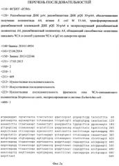 Рекомбинантная днк pa4, рекомбинантная днк pqe 30-pa4, обеспечивающие получение полипептида a4, штамм esherichia coli m 15-a4, трансформированный рекомбинантной плазмидной днк pqe 30-pa4 и экспрессирующий рекомбинантный полипептид a4, рекомбинантный полипептид a4, обладающий способностью селективно связывать чса, аффинные сорбенты (варианты) и способы удаления чса и igg из сыворотки крови (варианты) (патент 2572343)