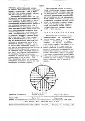 Многополюсный постоянный магнит (патент 1603481)