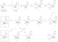 Способ получения алкилзамещенных 2-дезокси-2-фтор-d-рибофуранозил-пиримидинов и пуринов и их производных (патент 2407747)