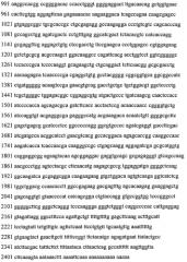 Применение hsp70 в качестве регулятора ферментативной активности (патент 2571946)