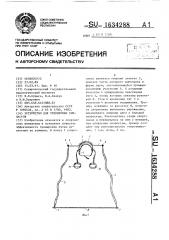 Устройство для тренировки гимнастов (патент 1634288)