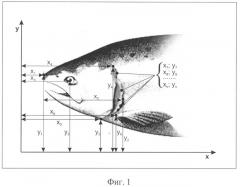 Устройство для обезглавливания рыбы (патент 2320177)