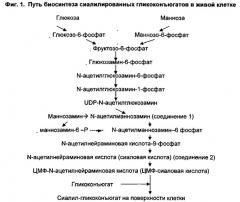 Способ лечения респираторных заболеваний, фармацевтическая композиция и её применение (патент 2539899)