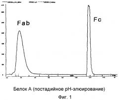 Белковый комплекс, полученный с использованием фрагмента иммуноглобулина, и способ получения такого комплекса (патент 2356909)