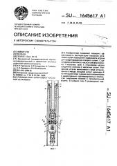 Скважинная штанговая насосная установка (патент 1645617)