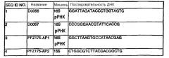 Вакцина, набор и способ лечения или предупреждения пародонтоза у животных-компаньонов (патент 2364417)