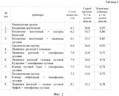 Способ возделывания многолетних кормовых трав на севере (патент 2567212)