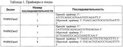 Ген park2 и способ диагностики его мутаций (патент 2428478)