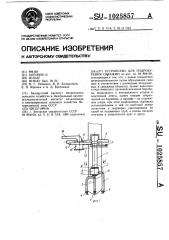 Устройство для гидробурения скважин (патент 1025857)