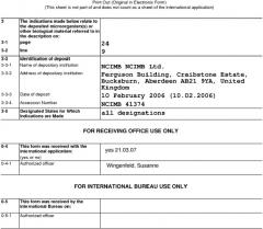 Fad-2-мутанты и растения с высоким содержанием олеиновой кислоты (патент 2461624)