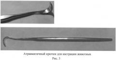 Способ овариогистерэктомии кошек по боковому доступу (патент 2396923)