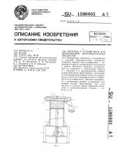 Питатель к устройствам для дозирования ферромагнитных предметов (патент 1590403)