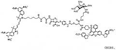 Применение бактериальной бета-лактамазы для диагностики in vitro и визуализации, диагностики и лечения in vivo (патент 2520661)