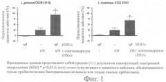 Синбиотическая смесь (патент 2448720)