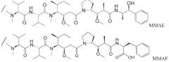 Антитела против tenb2, сконструированные с цистеином, и конъюгаты антитело - лекарственное средство (патент 2505544)