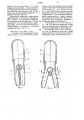 Устройство для одновременного введения лекарства в две полости носа (патент 1639662)