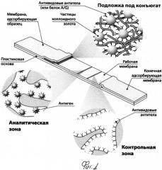 Способ проведения иммунохроматографического анализа для серодиагностики (патент 2532352)