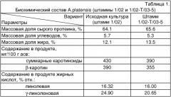 Штамм arthrospira platensis (nordst.) geitl. 1/02-t/03-5 - продуцент белковой биомассы (патент 2322489)