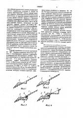 Способ мелиорации склонов (патент 1648257)