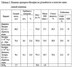 Способ повышения зимостойкости озимой пшеницы (патент 2651814)