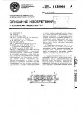 Транспортер-очиститель корнеклубнеплодов (патент 1138066)