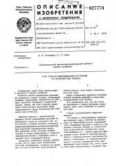 Способ выращивания растений на каменистых почвах (патент 627774)