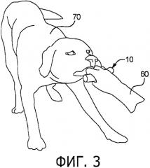 Устройство для полости рта животных (патент 2576531)