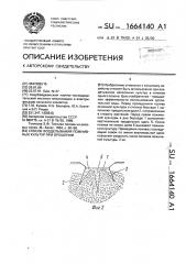 Способ возделывания пожнивных культур при орошении (патент 1664140)