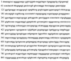 Применение hsp70 в качестве регулятора ферментативной активности (патент 2571946)