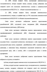 Новая альдолаза, днк, кодирующая альдолазу, клетки, трансформированные днк, способ получения альдолазы и способ получения 4-гидрокси-l-изолейцина (варианты) (патент 2338784)