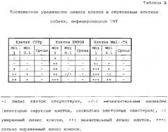 Метапневмовирус птиц в онколизисе (патент 2571925)