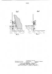 Кранцевое устройство дока для заведения в него судов (патент 1058829)