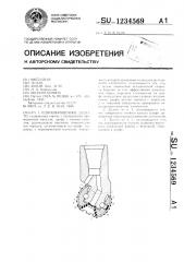 Одношарошечное долото (патент 1234569)